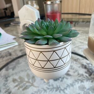 Faux succulent plant